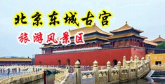 肉棒插入小穴的视频中国北京-东城古宫旅游风景区